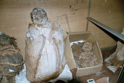 La Reina de Huayabamba. The mummy has been found at Laguna Huayabamba.