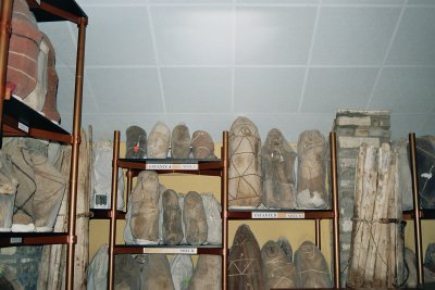 Centro Mallqui - The mummies from Laguna de los Condores