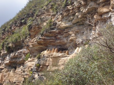 The sarcophagi of Ayachaqui (courtesy D. Jarvis)