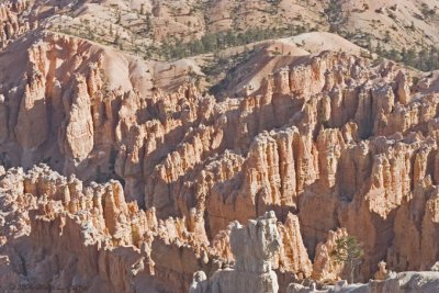 Bryce Canyon - Bryce Amphitheater IMG_4603.jpg