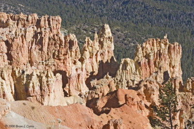 Bryce Canyon - Ponderosa Canyon IMG_4413.jpg