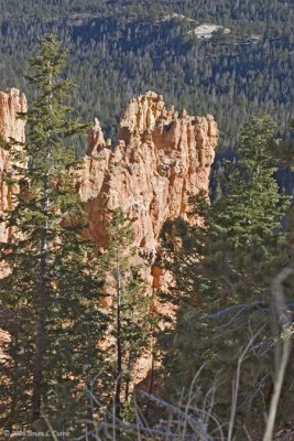 Bryce Canyon - Ponderosa Canyon IMG_4414.jpg