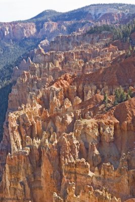 Bryce Canyon - Ponderosa Canyon IMG_4416.jpg