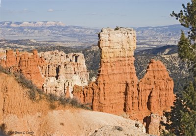 Bryce Canyon - Agua Canyon IMG_4426 4427 merged.jpg