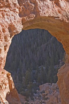 Bryce Canyon - Natural Bridge IMG_4439.jpg