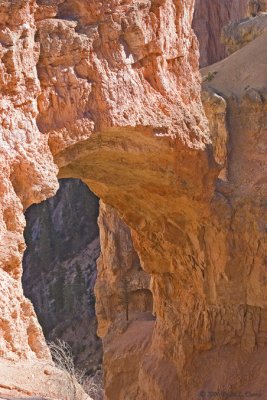 Bryce Canyon - Natural Bridge IMG_4440.jpg