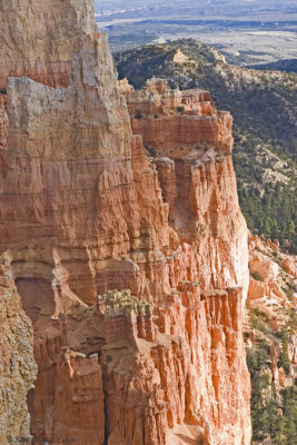 Bryce Canyon - Paria View IMG_4457.jpg