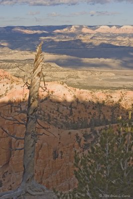 Bryce Canyon - Bryce Amphitheater IMG_4491.jpg