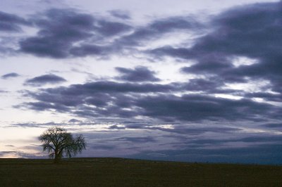 2006-12-11.jpg