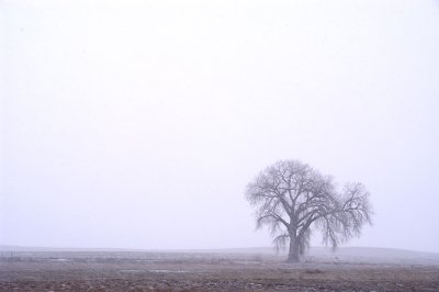 2006-12-17.jpg