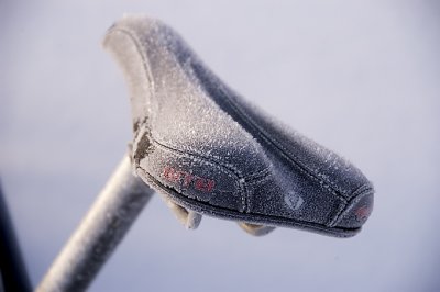 2006-12-22.jpg
