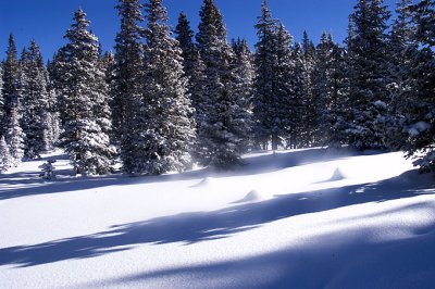 snow_shoeing