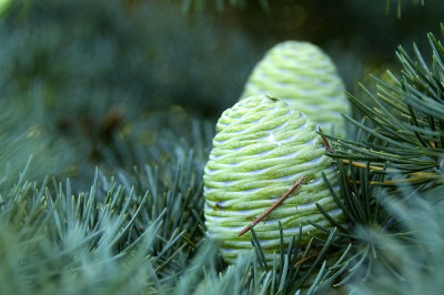 DSC_2814.jpg