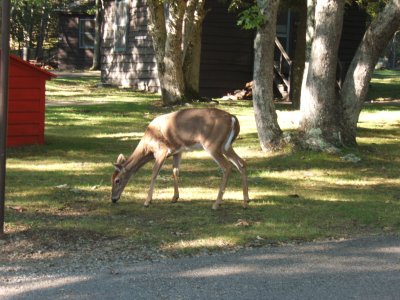 2007_0924Trip_2007_10065.JPG