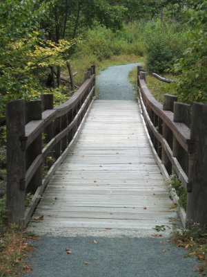 Limberlost Trail