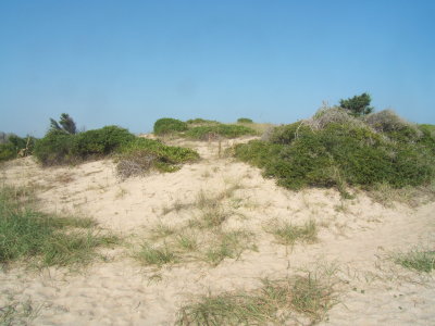 2007_0924Trip_2007_10646.JPG
