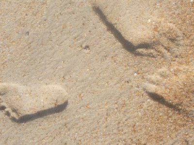 Atlantic Ocean - Outer Banks, North Carolina