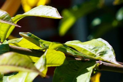 hanging around.....
