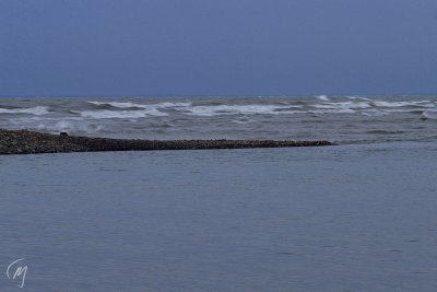 Waves.jpg