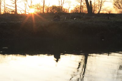 Sunset Fishing.jpg