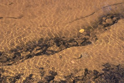 Creek Bed.jpg
