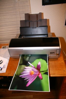 ds new printer.jpg