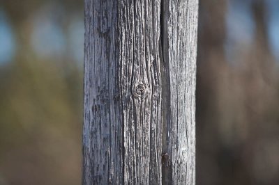 IMG_3910.jpg