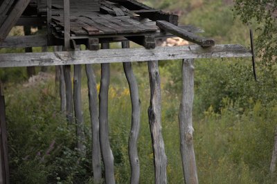 IMG_7495.jpg