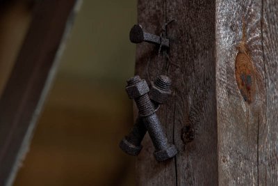 IMG_7500.jpg