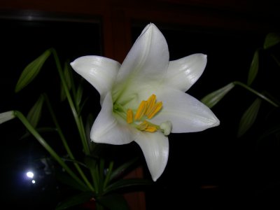 DSCN6686.JPG