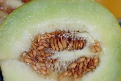 melon