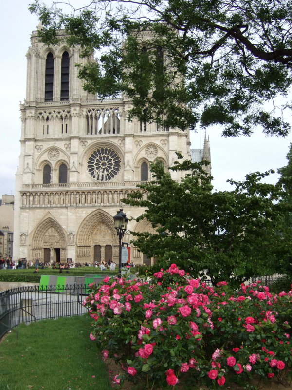 Notre Dame Cathedral (Paris, France)