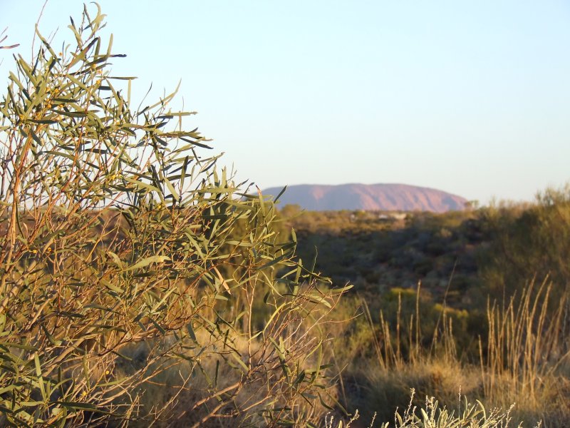 Uluru (Ayers Rock)