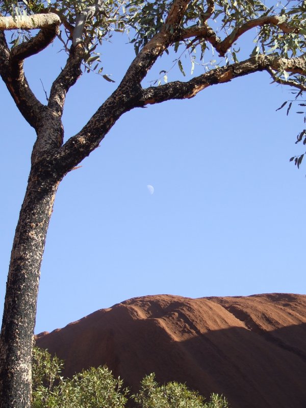 Uluru (Ayers Rock)