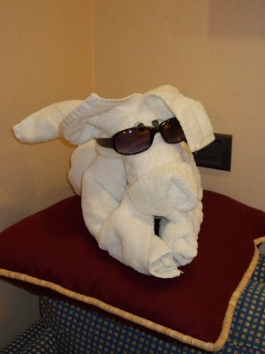 The Towel Animals!