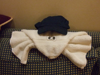 The Towel Animals!