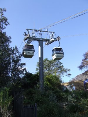Taronga Zoo Cablecars