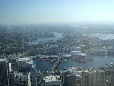 View from Sydney Tower