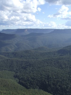 The Blue Mountains