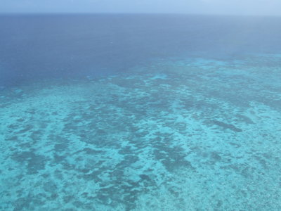 Helicopter View of the Great Barrier Reef