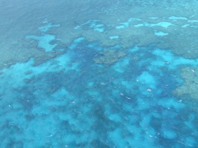 Helicopter View of the Great Barrier Reef