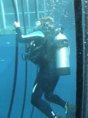 Quicksilver Underwater Observatory