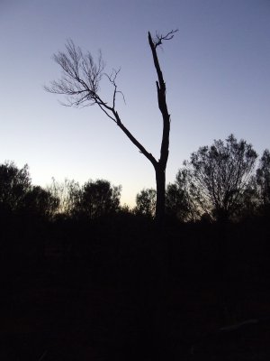 Sunrise Breaking in the Outback
