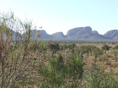 Kata Tjutu (The Olgas)