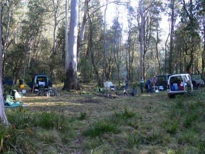 BARRINGTON TOPS, CAMP AT DILGRY RIVER