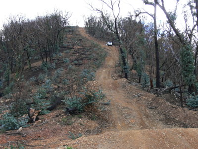 South Basalt Knob Track