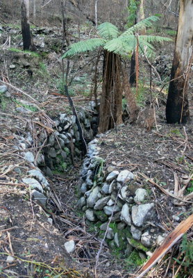 Water Race, Mine Ruins, Concord Creek