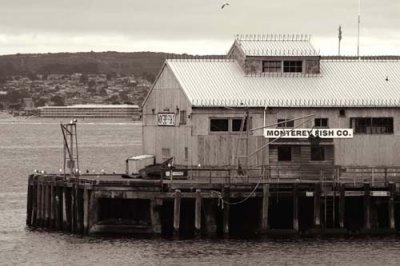 monterey