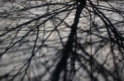 shadow