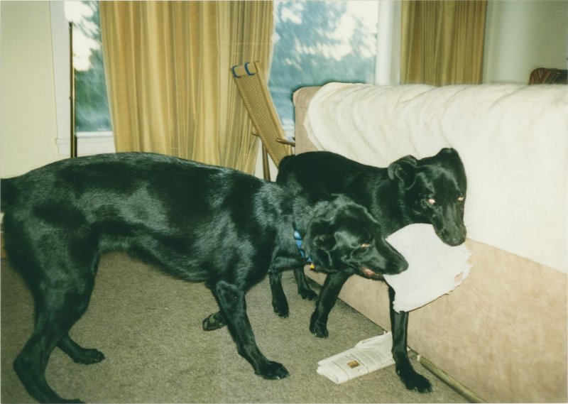 g6/88/576188/2/75789467.qm0SdrEN.jpg